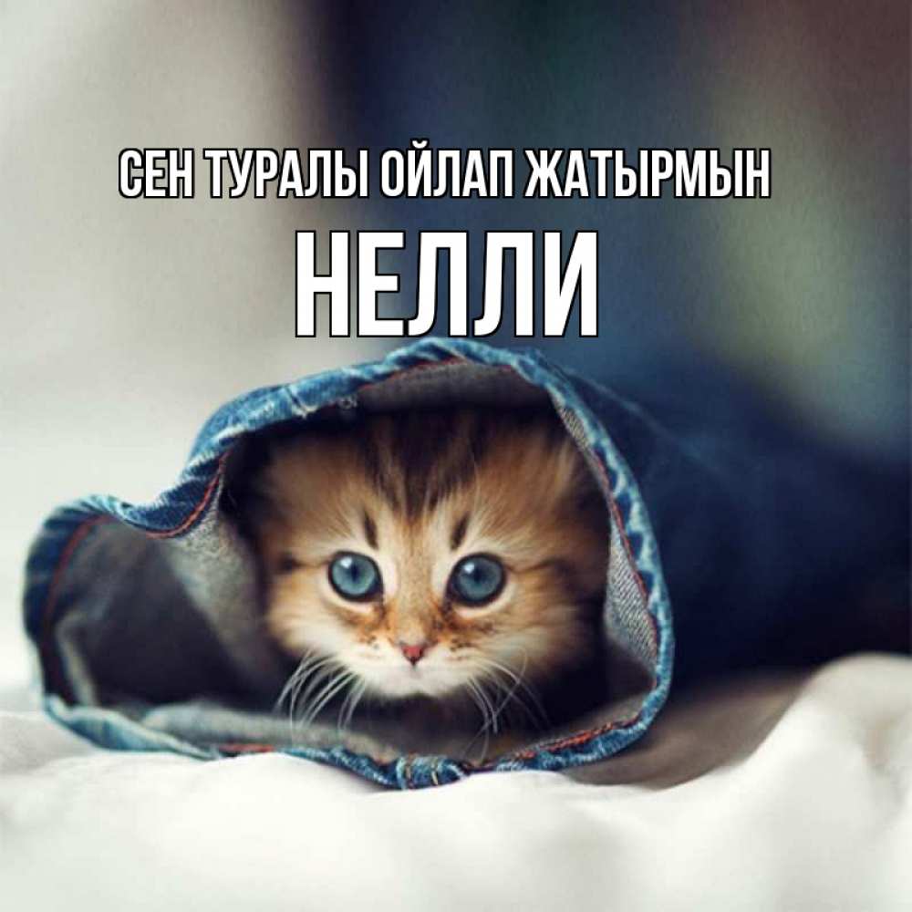 Күн сайын ашық хат с именем, Нелли Сен туралы ойлап жатырмын мне без тебя плохо Онлайн тегін жүктеп алу тілектері бар керемет карта 