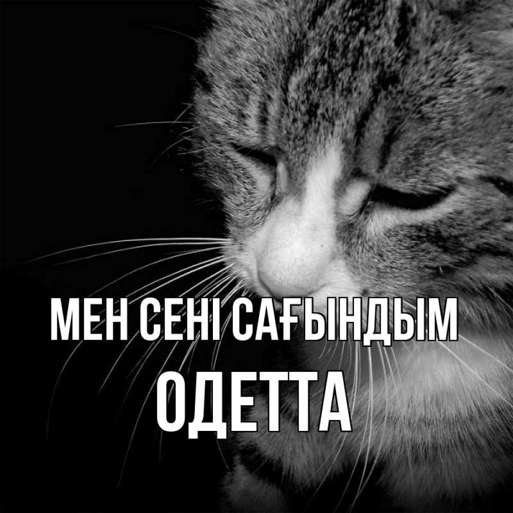 Күн сайын ашық хат с именем, Одетта Мен сені сағындым мне скучно Онлайн тегін жүктеп алу тілектері бар керемет карта 