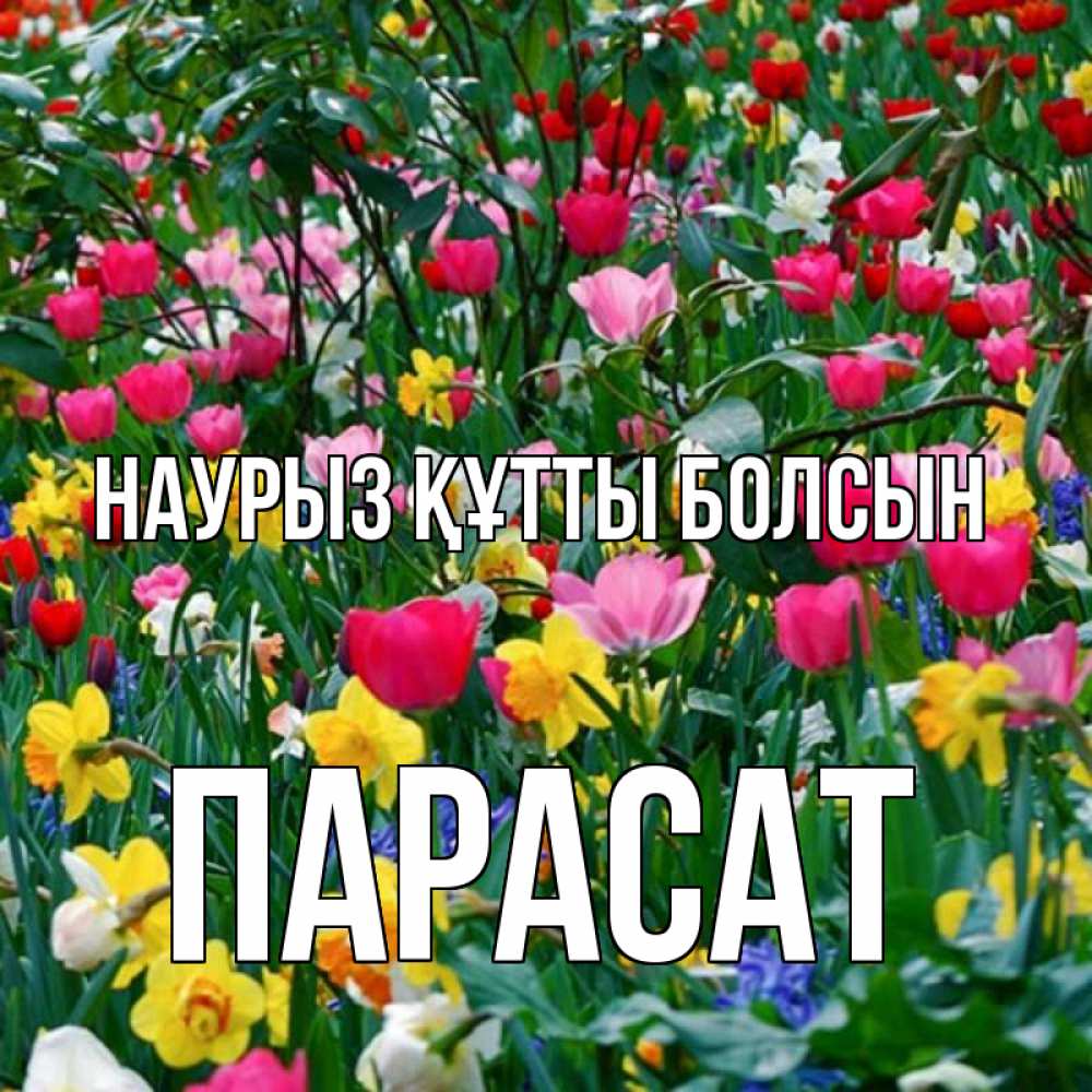 Күн сайын ашық хат с именем, ПАРАСАТ Наурыз құтты болсын с наурызом поздравления для женщины Онлайн тегін жүктеп алу тілектері бар керемет карта 
