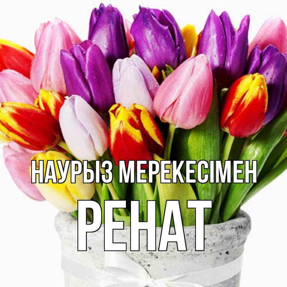 Күн сайын ашық хат с именем, РЕНАТ Наурыз мерекесімен букет Онлайн тегін жүктеп алу тілектері бар керемет карта 