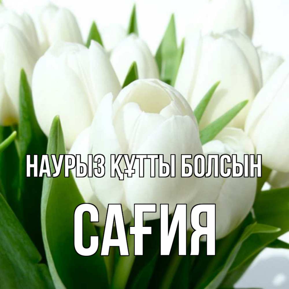 Күн сайын ашық хат с именем, САҒИЯ Наурыз құтты болсын цветы Онлайн тегін жүктеп алу тілектері бар керемет карта 