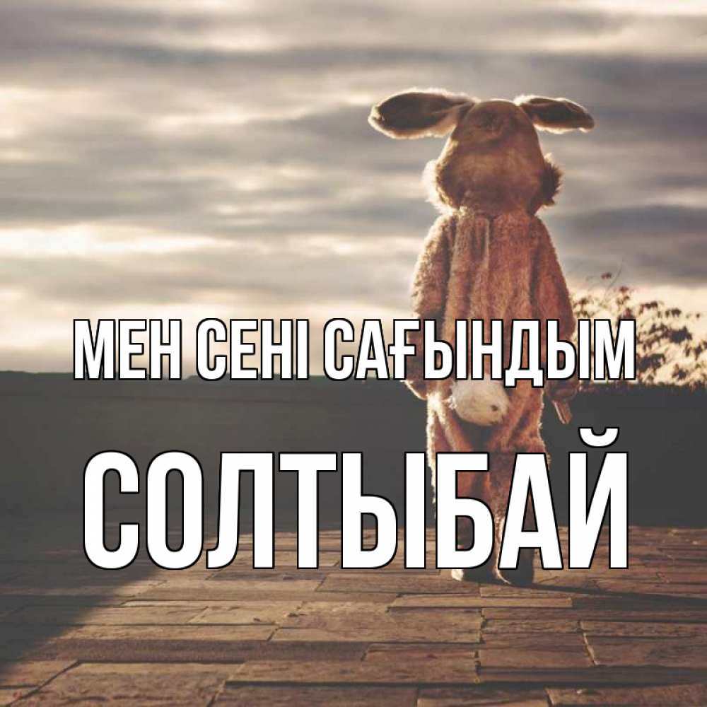 Күн сайын ашық хат с именем, СОЛТЫБАЙ Мен сені сағындым даже в костюме зайца Онлайн тегін жүктеп алу тілектері бар керемет карта 
