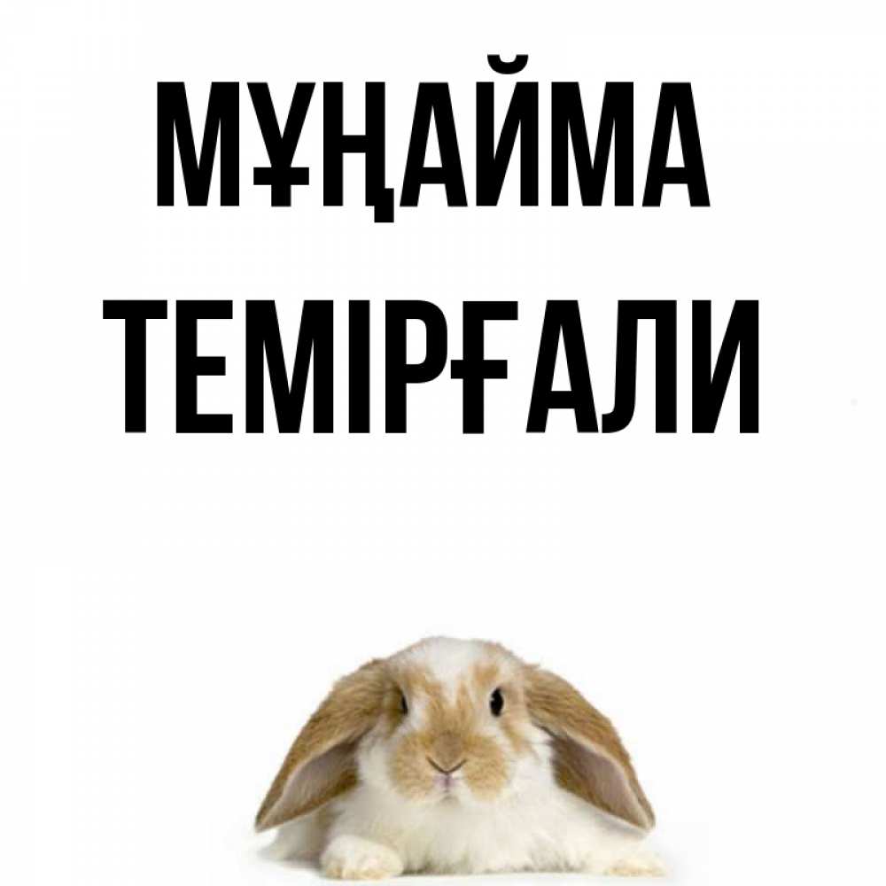 Күн сайын ашық хат с именем, ТЕМІРҒАЛИ Мұңайма коричнево белый заяц с большими ушками Онлайн тегін жүктеп алу тілектері бар керемет карта 
