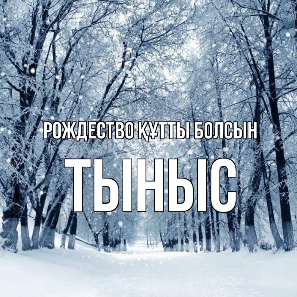 Күн сайын ашық хат с именем, ТЫНЫС Рождество құтты болсын снег, лес, парк Онлайн тегін жүктеп алу тілектері бар керемет карта 