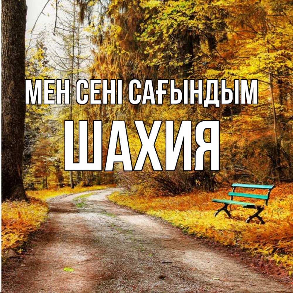 Күн сайын ашық хат с именем, ШАХИЯ Мен сені сағындым зеленая лавочка и осенний лес Онлайн тегін жүктеп алу тілектері бар керемет карта 