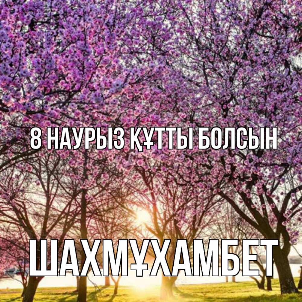 Күн сайын ашық хат с именем, ШАХМҰХАМБЕТ 8 наурыз құтты болсын международный женский день Онлайн тегін жүктеп алу тілектері бар керемет карта 