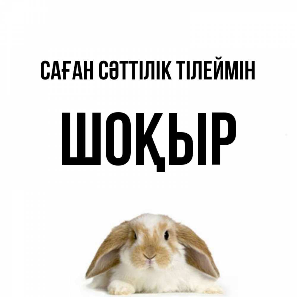 Күн сайын ашық хат с именем, ШОҚЫР Саған сәттілік тілеймін открытки с произвольным текстом который можно вставить в открытку и создать ее самостоятельно бесплатно онлайн Онлайн тегін жүктеп алу тілектері бар керемет карта 
