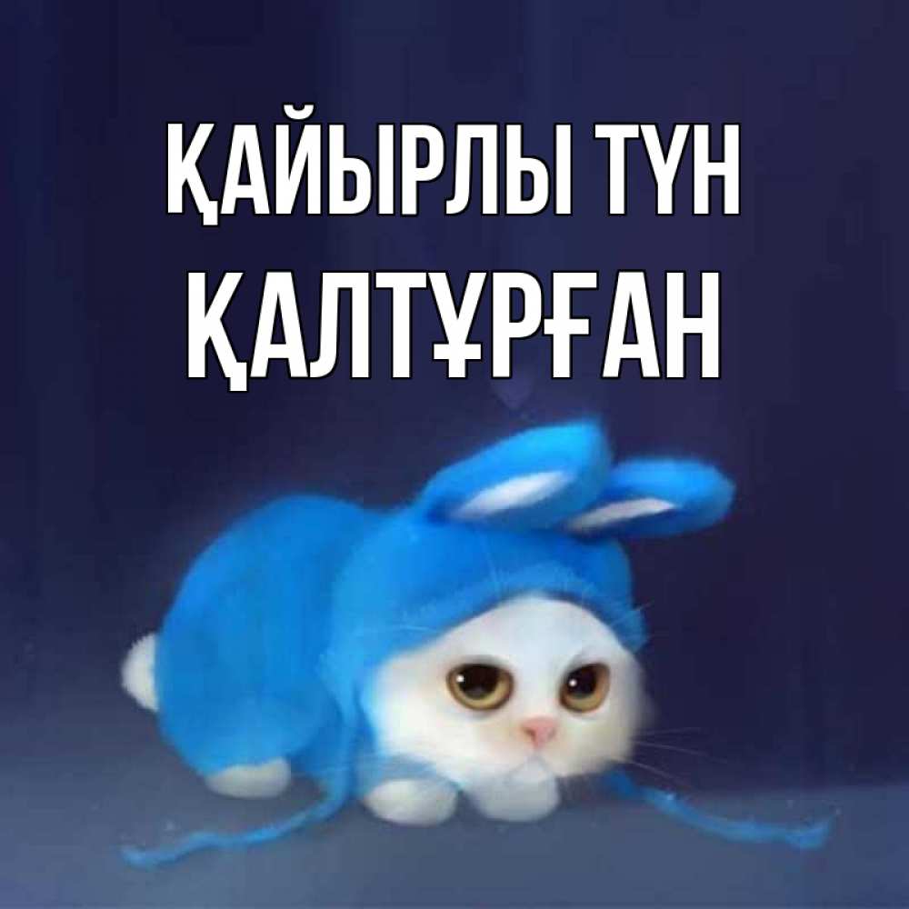 Күн сайын ашық хат с именем, ҚАЛТҰРҒАН Қайырлы түн кот в голубом костюме кролика с ушками Онлайн тегін жүктеп алу тілектері бар керемет карта 