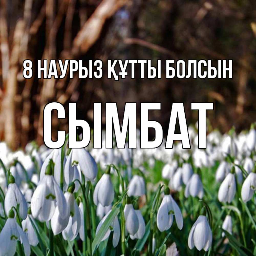 Күн сайын ашық хат с именем, СЫМБАТ 8 наурыз құтты болсын с подснежниками 1 Онлайн тегін жүктеп алу тілектері бар керемет карта 