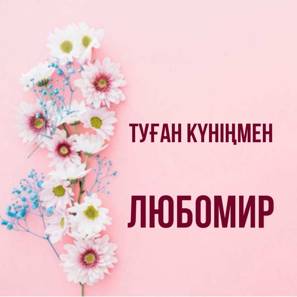 Күн сайын ашық хат с именем, Любомир Туған күніңмен Родная моя с днем рождения тебя картинка с цветами белыми и голубыми Онлайн тегін жүктеп алу тілектері бар керемет карта 