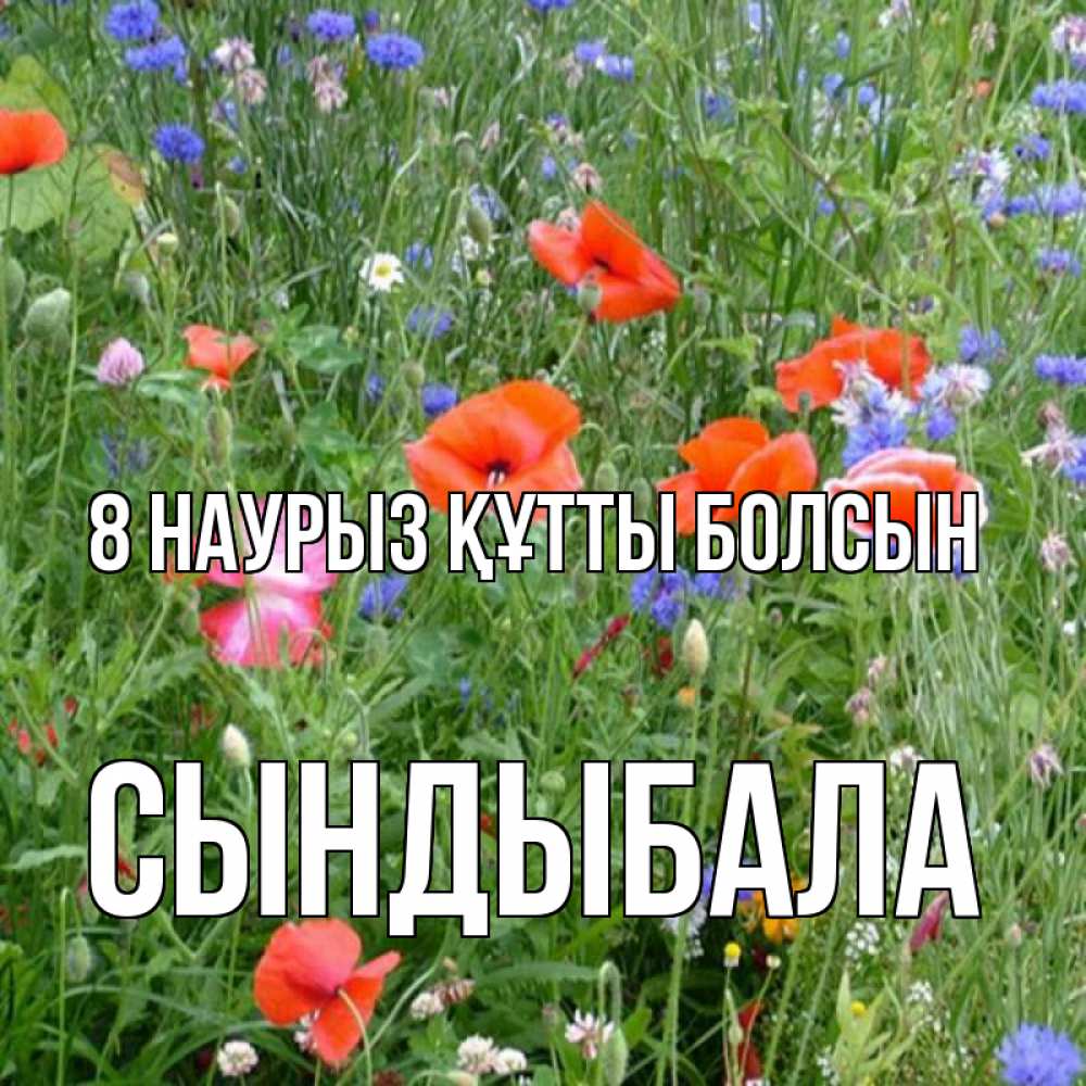 Күн сайын ашық хат с именем, СЫНДЫБАЛА 8 наурыз құтты болсын международный женский день 4 Онлайн тегін жүктеп алу тілектері бар керемет карта 