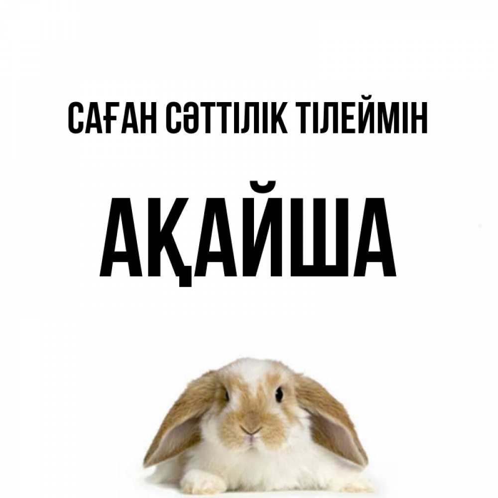 Күн сайын ашық хат с именем, АҚАЙША Саған сәттілік тілеймін открытки с произвольным текстом который можно вставить в открытку и создать ее самостоятельно бесплатно онлайн Онлайн тегін жүктеп алу тілектері бар керемет карта 