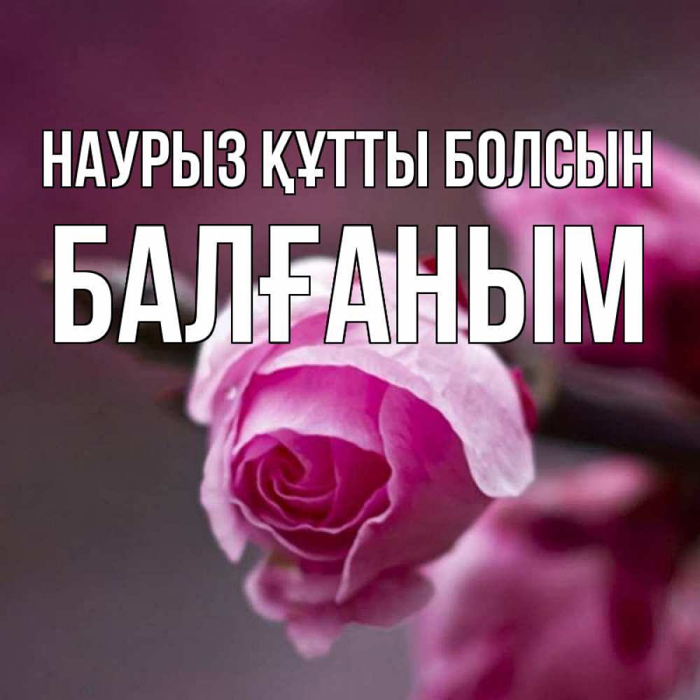 Күн сайын ашық хат с именем, БАЛҒАНЫМ Наурыз құтты болсын весна Онлайн тегін жүктеп алу тілектері бар керемет карта 