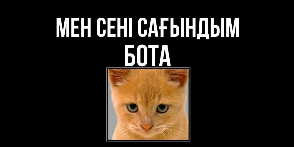 Күн сайын ашық хат с именем, БОТА Мен сені сағындым открытки рыжий котенок скучает по тебе Онлайн тегін жүктеп алу тілектері бар керемет карта 