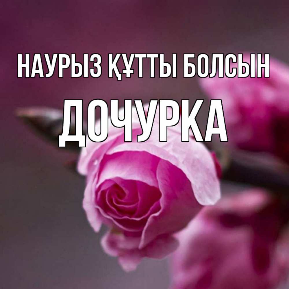 Күн сайын ашық хат с именем, Дочурка Наурыз құтты болсын весна Онлайн тегін жүктеп алу тілектері бар керемет карта 