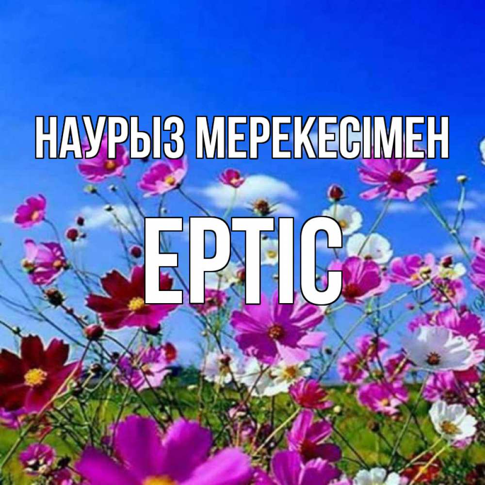 Күн сайын ашық хат с именем, Ертіс Наурыз мерекесімен цветы Онлайн тегін жүктеп алу тілектері бар керемет карта 