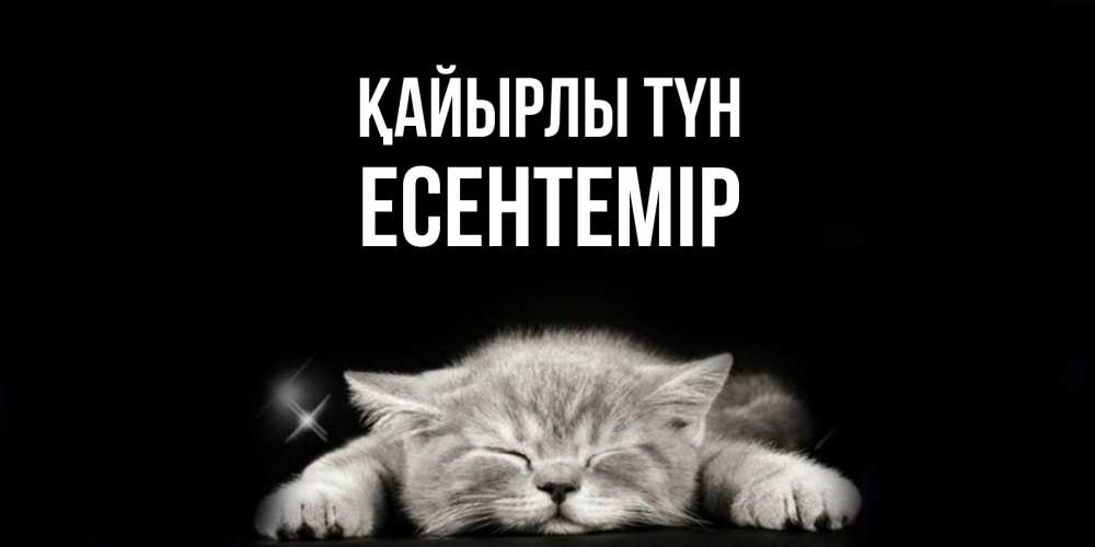 Күн сайын ашық хат с именем, Есентемір Қайырлы түн спящий котик Онлайн тегін жүктеп алу тілектері бар керемет карта 