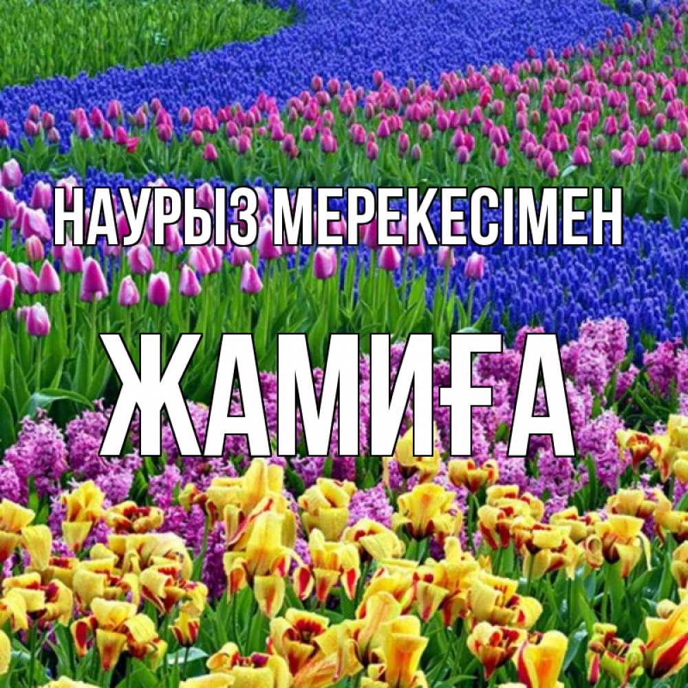 Күн сайын ашық хат с именем, ЖАМИҒА Наурыз мерекесімен цветы Онлайн тегін жүктеп алу тілектері бар керемет карта 