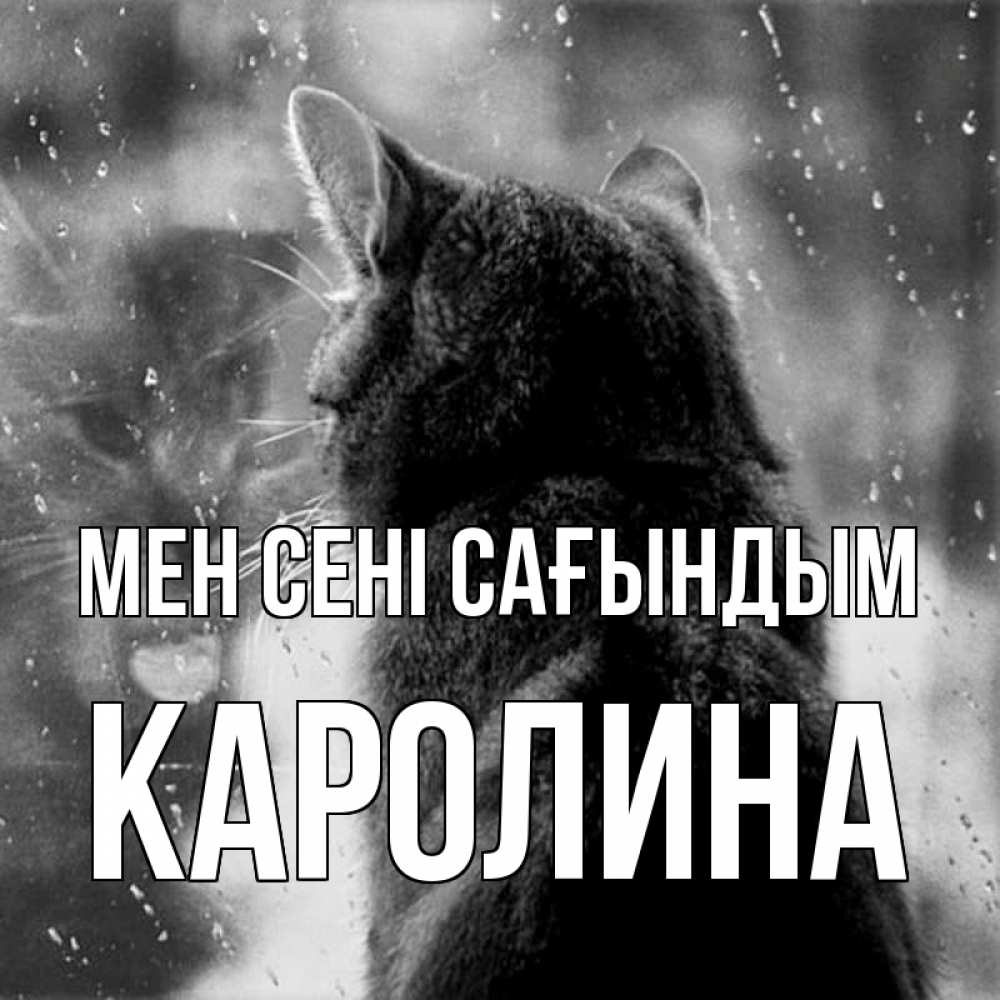 Күн сайын ашық хат с именем, Каролина Мен сені сағындым скорее ко мне приходи 1 Онлайн тегін жүктеп алу тілектері бар керемет карта 