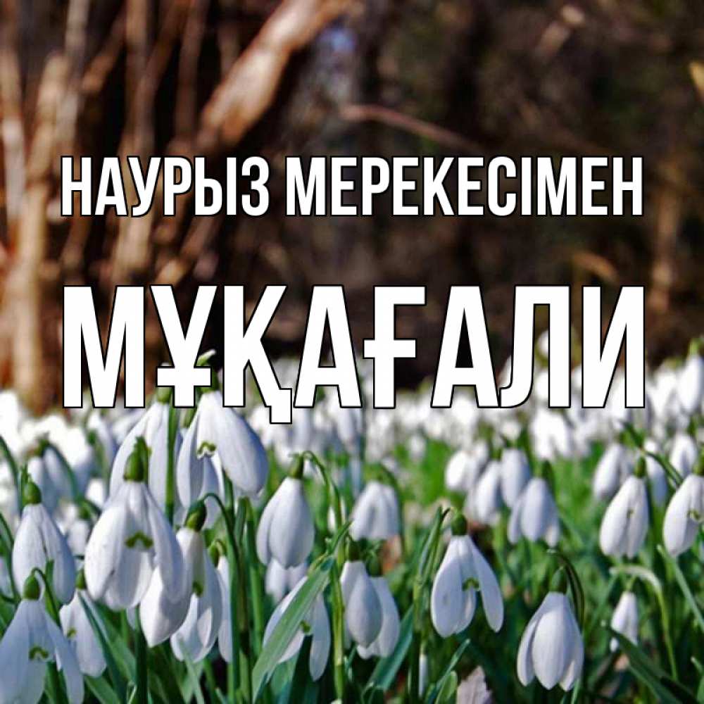 Күн сайын ашық хат с именем, МҰҚАҒАЛИ Наурыз мерекесімен с подснежниками 1 Онлайн тегін жүктеп алу тілектері бар керемет карта 