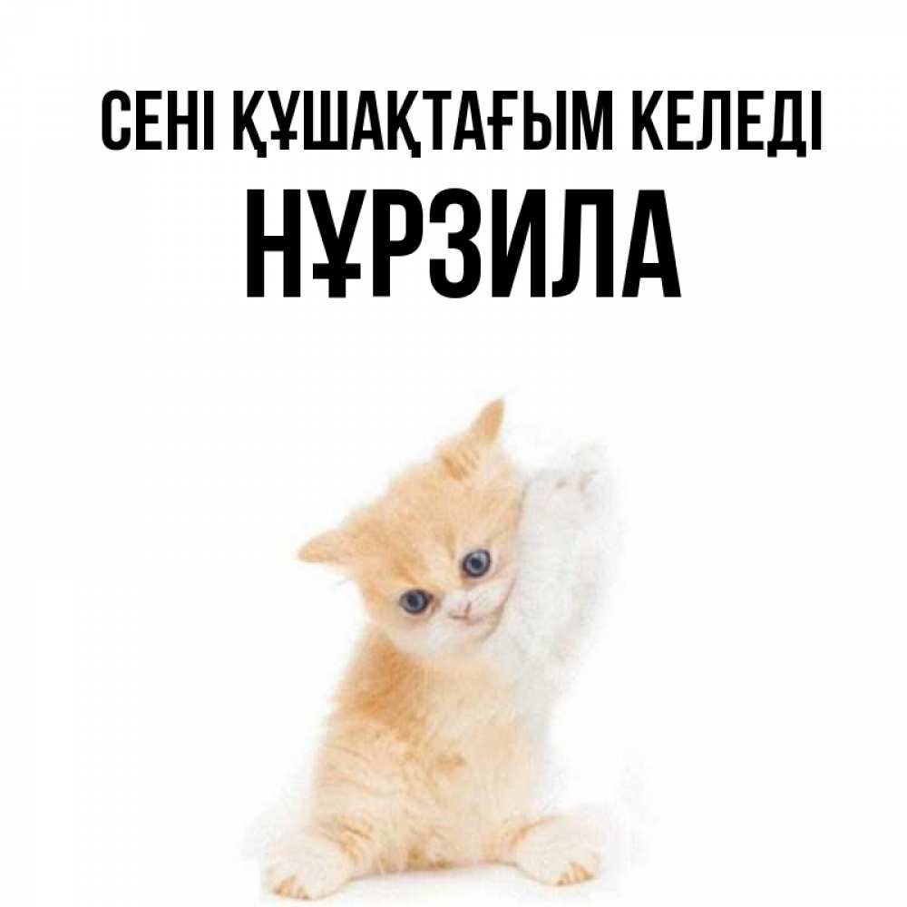 Күн сайын ашық хат с именем, НҰРЗИЛА сені құшақтағым келеді я хочу очень скорее обнимаешек Онлайн тегін жүктеп алу тілектері бар керемет карта 