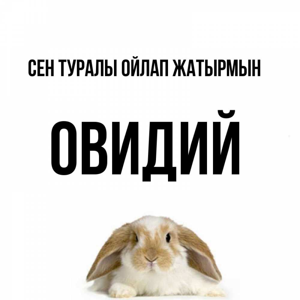 Күн сайын ашық хат с именем, Овидий Сен туралы ойлап жатырмын подписать своими руками онлайн Онлайн тегін жүктеп алу тілектері бар керемет карта 