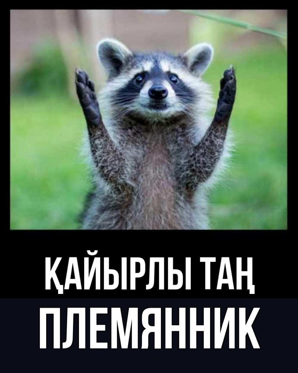 Күн сайын ашық хат с именем, Племянник Қайырлы таң хорошее настроение утречком Онлайн тегін жүктеп алу тілектері бар керемет карта 