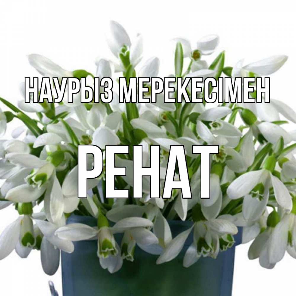 Күн сайын ашық хат с именем, РЕНАТ Наурыз мерекесімен цветы к наурызу новый год в Казахстане Онлайн тегін жүктеп алу тілектері бар керемет карта 
