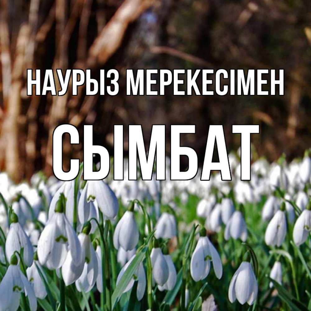 Күн сайын ашық хат с именем, СЫМБАТ Наурыз мерекесімен с подснежниками 1 Онлайн тегін жүктеп алу тілектері бар керемет карта 