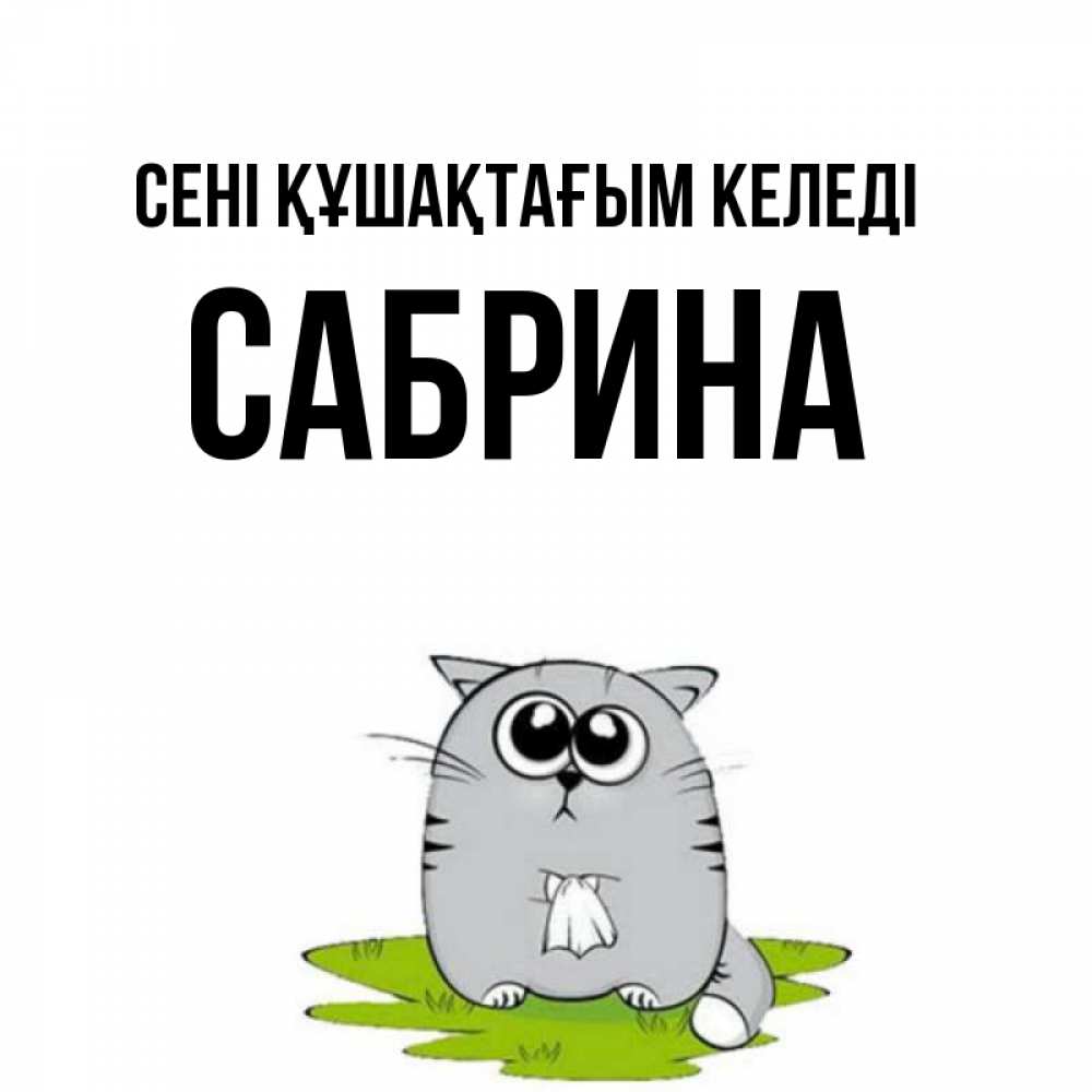 Күн сайын ашық хат с именем, Сабрина сені құшақтағым келеді котик теребит платочек сидя на травке Онлайн тегін жүктеп алу тілектері бар керемет карта 