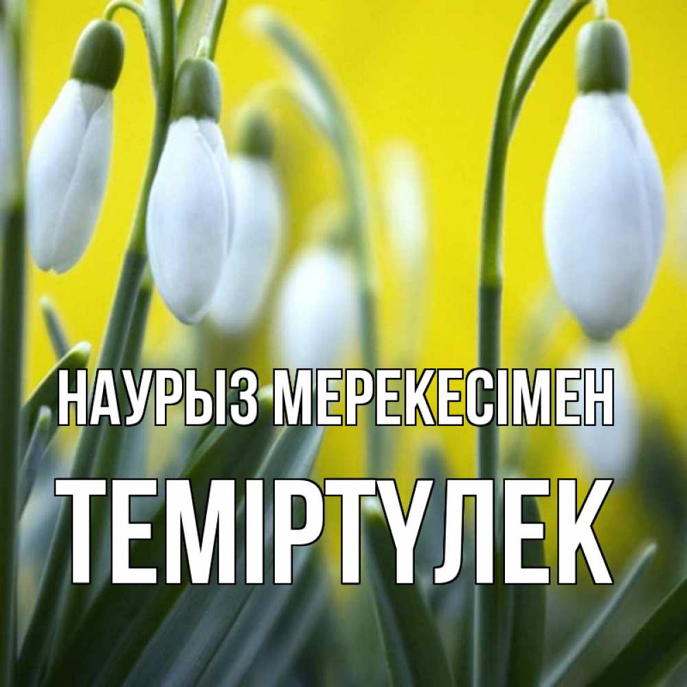 Күн сайын ашық хат с именем, ТЕМІРТҮЛЕК Наурыз мерекесімен весенние цветы Онлайн тегін жүктеп алу тілектері бар керемет карта 