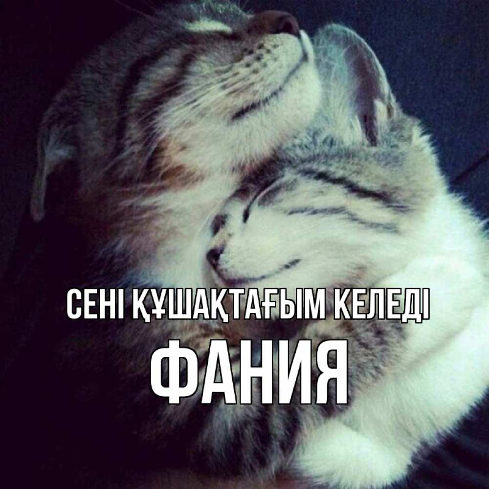 Күн сайын ашық хат с именем, Фания сені құшақтағым келеді полосатики Онлайн тегін жүктеп алу тілектері бар керемет карта 