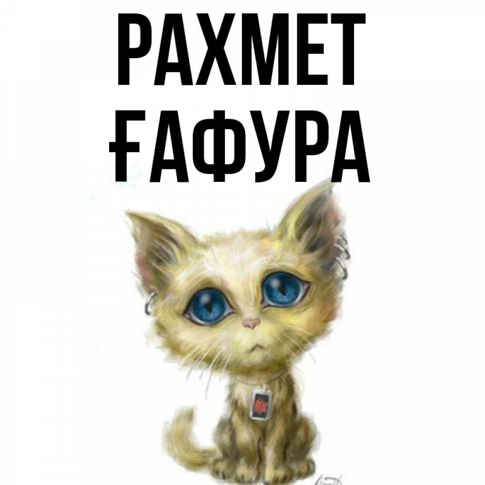 Күн сайын ашық хат с именем, ҒАФУРА рахмет рисованный кот благодарит вас Онлайн тегін жүктеп алу тілектері бар керемет карта 