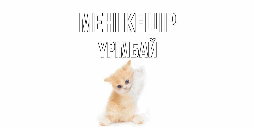 Күн сайын ашық хат с именем, ҮРІМБАЙ Мені кешір кот Онлайн тегін жүктеп алу тілектері бар керемет карта 