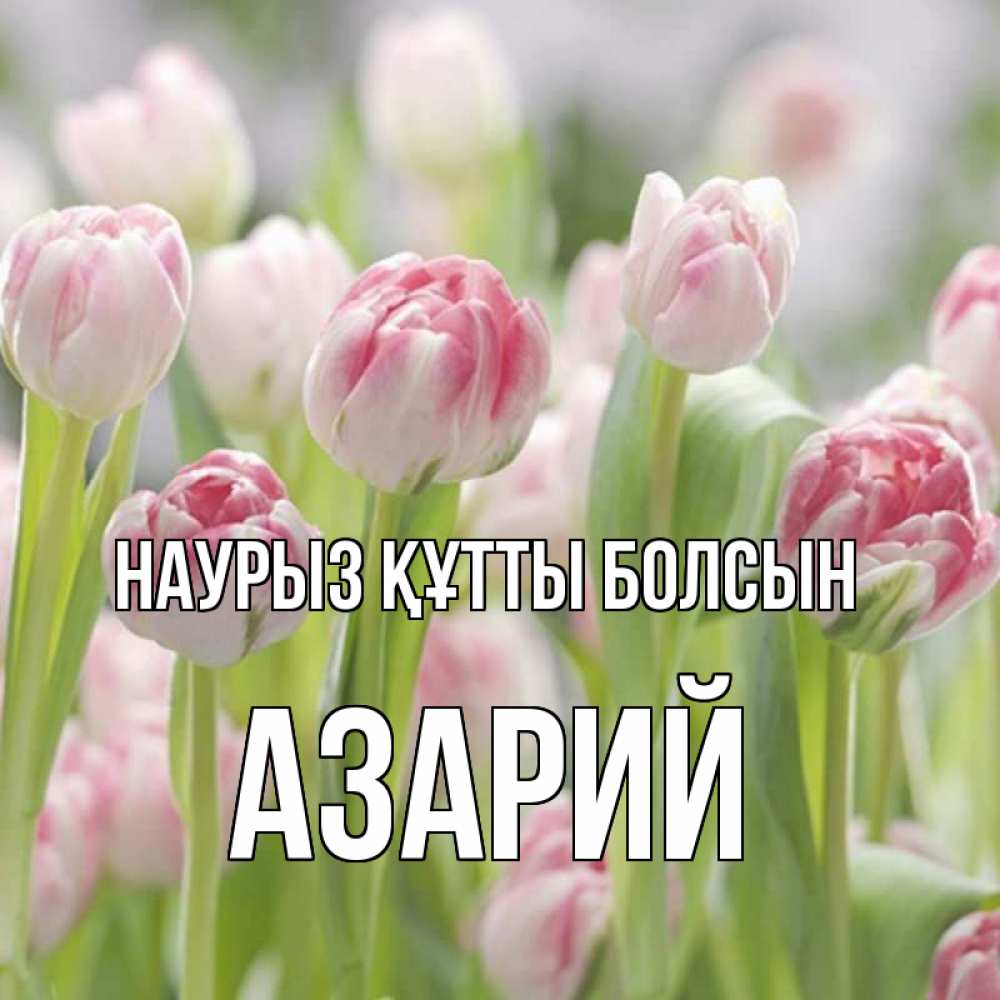 Күн сайын ашық хат с именем, Азарий Наурыз құтты болсын цветы Онлайн тегін жүктеп алу тілектері бар керемет карта 