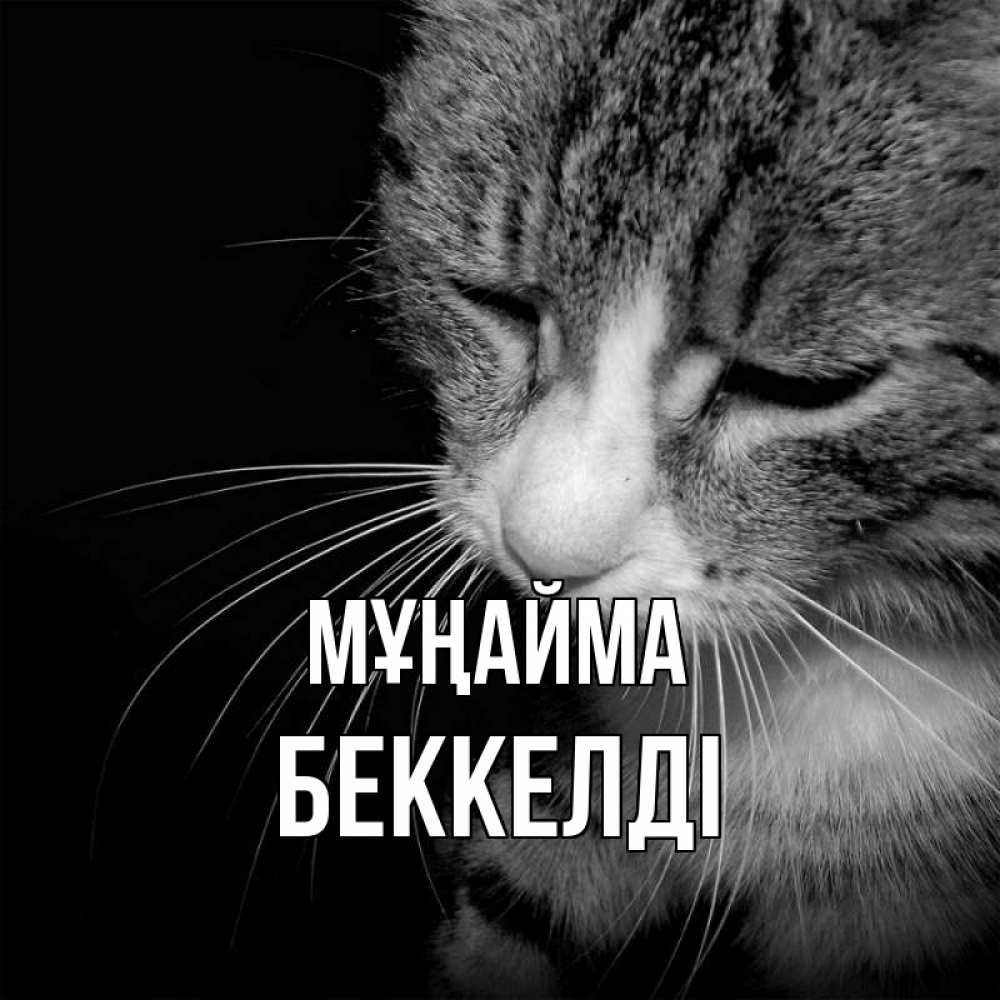 Күн сайын ашық хат с именем, Беккелді Мұңайма грустный котик Онлайн тегін жүктеп алу тілектері бар керемет карта 
