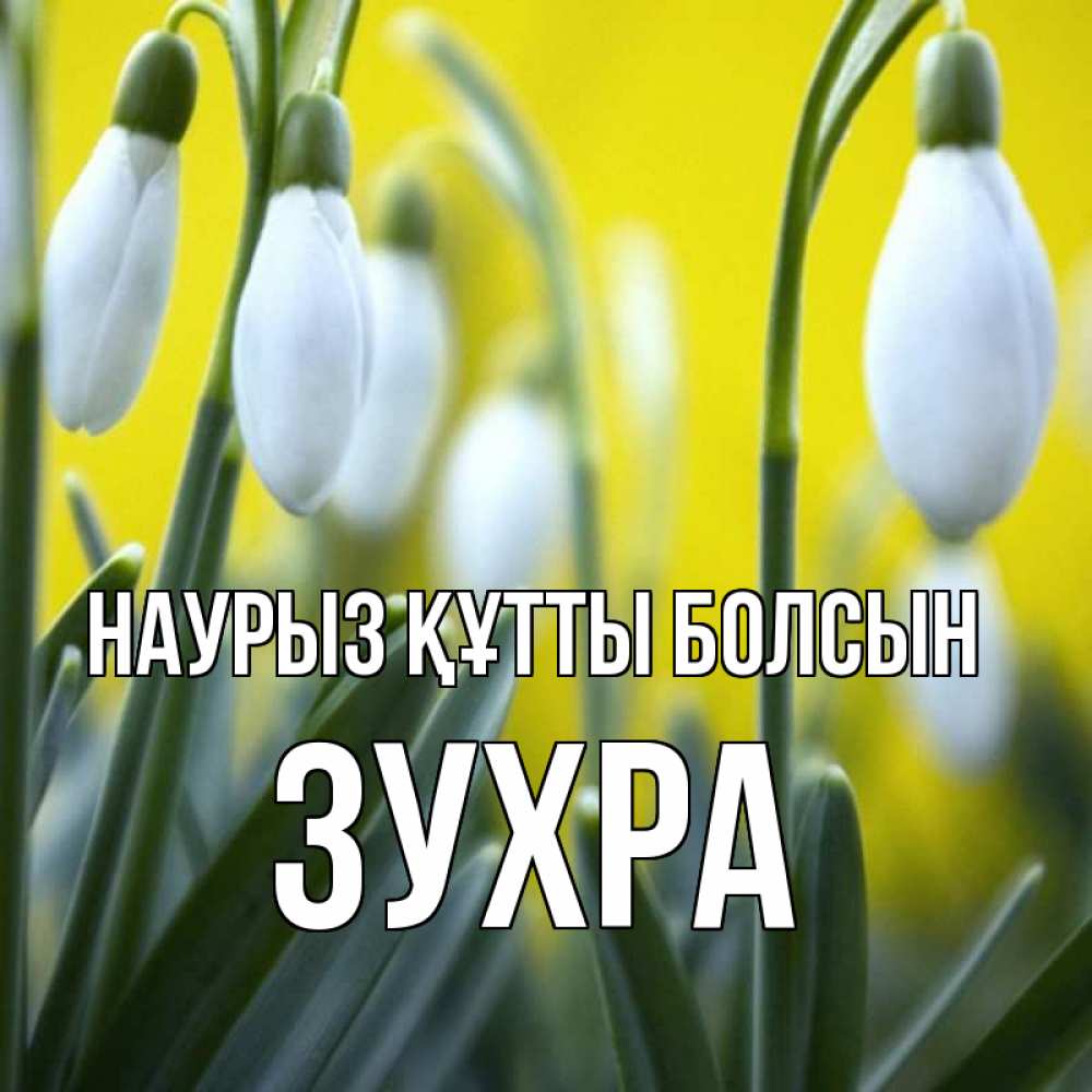 Күн сайын ашық хат с именем, Зухра Наурыз құтты болсын весенние цветы Онлайн тегін жүктеп алу тілектері бар керемет карта 