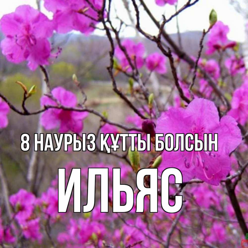 Күн сайын ашық хат с именем, Ильяс 8 наурыз құтты болсын международный женский день Онлайн тегін жүктеп алу тілектері бар керемет карта 