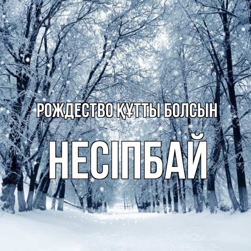 Күн сайын ашық хат с именем, НЕСІПБАЙ Рождество құтты болсын снег, лес, парк Онлайн тегін жүктеп алу тілектері бар керемет карта 
