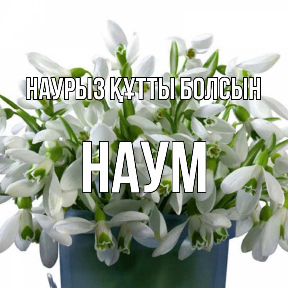 Күн сайын ашық хат с именем, Наум Наурыз құтты болсын цветы к наурызу Онлайн тегін жүктеп алу тілектері бар керемет карта 