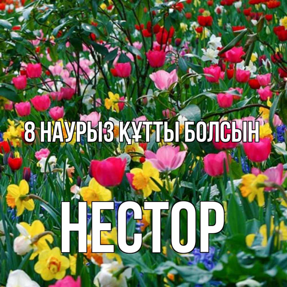 Күн сайын ашық хат с именем, Нестор 8 наурыз құтты болсын с международным женским днем поздравления для женщины Онлайн тегін жүктеп алу тілектері бар керемет карта 