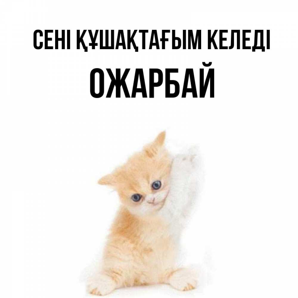 Күн сайын ашық хат с именем, ОЖАРБАЙ сені құшақтағым келеді я хочу очень скорее обнимаешек Онлайн тегін жүктеп алу тілектері бар керемет карта 