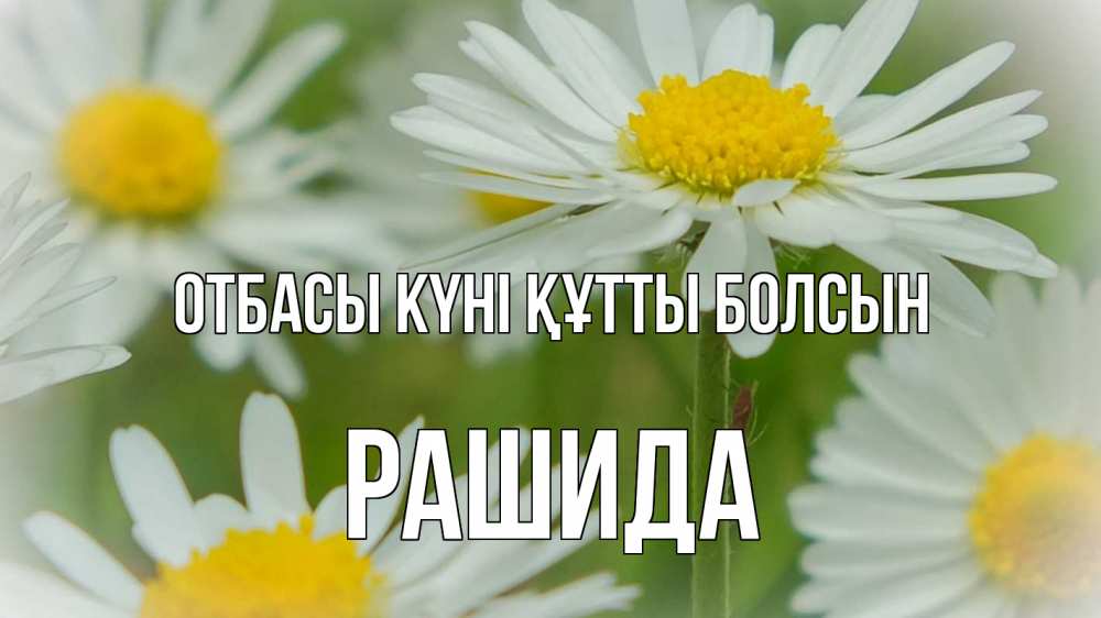 Күн сайын ашық хат с именем, РАШИДА отбасы күні құтты болсын с днем семьи  1 Онлайн тегін жүктеп алу тілектері бар керемет карта 