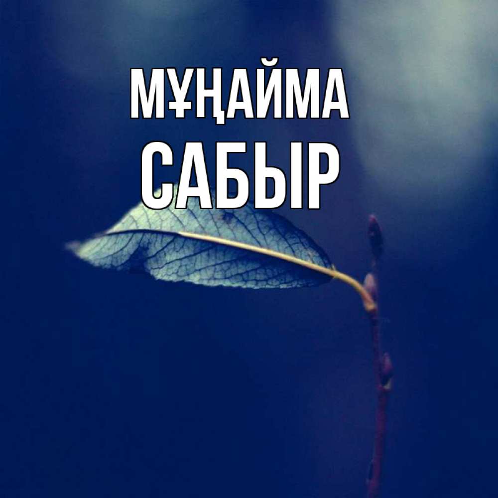 Күн сайын ашық хат с именем, САБЫР Мұңайма растение Онлайн тегін жүктеп алу тілектері бар керемет карта 