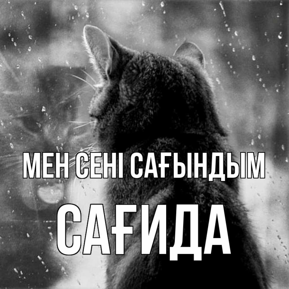 Күн сайын ашық хат с именем, САҒИДА Мен сені сағындым скорее ко мне приходи 1 Онлайн тегін жүктеп алу тілектері бар керемет карта 