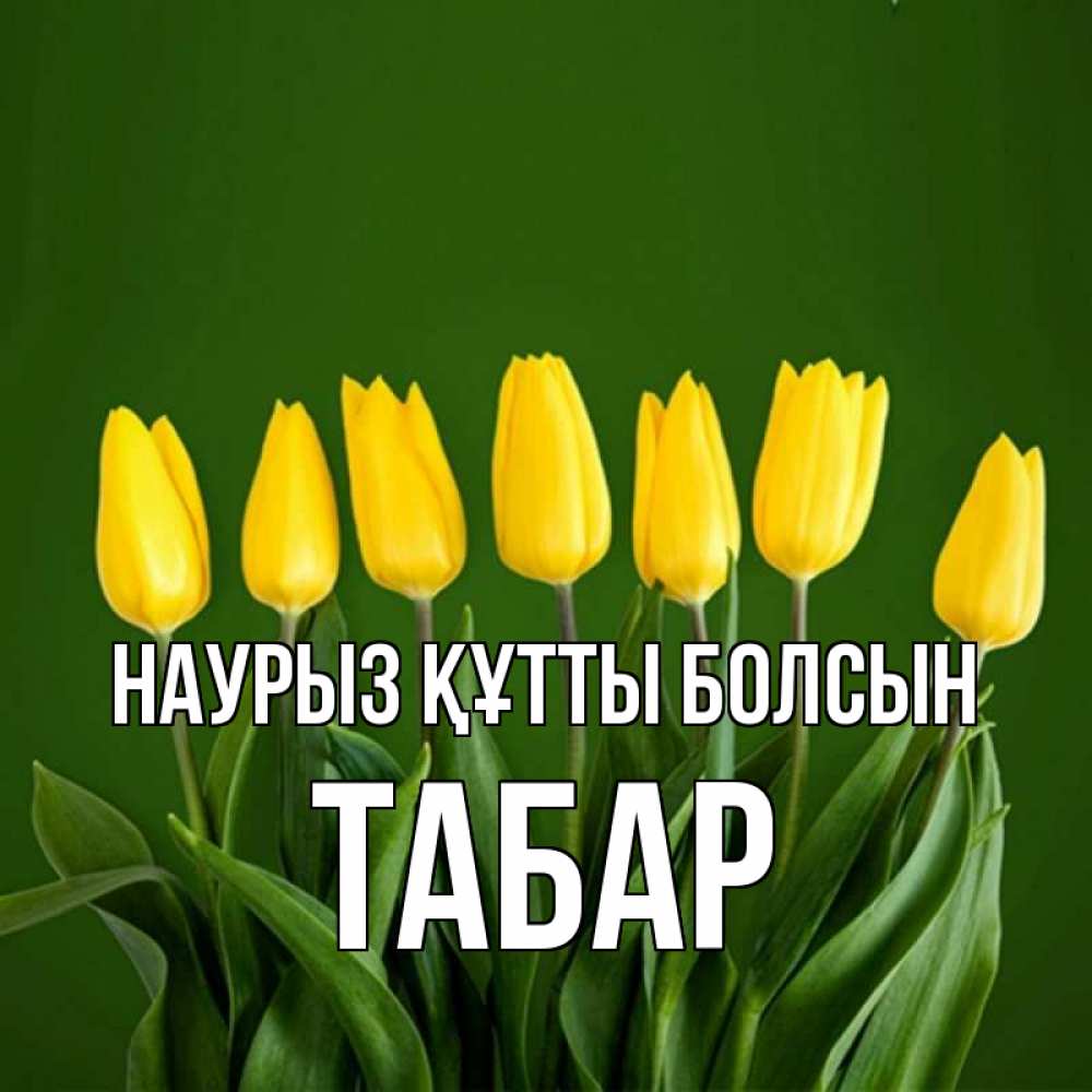 Күн сайын ашық хат с именем, ТАБАР Наурыз құтты болсын желтого цвета 3 Онлайн тегін жүктеп алу тілектері бар керемет карта 