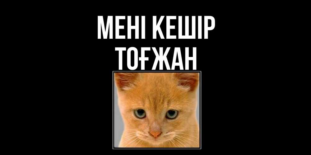 Күн сайын ашық хат с именем, ТОҒЖАН Мені кешір рыжий грустный кот просит прощения Онлайн тегін жүктеп алу тілектері бар керемет карта 