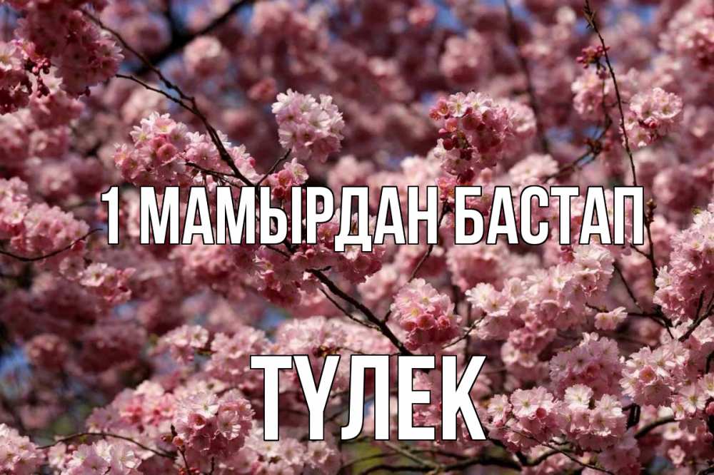 Күн сайын ашық хат с именем, ТҮЛЕК 1 мамырдан бастап С 1 мая Онлайн тегін жүктеп алу тілектері бар керемет карта 
