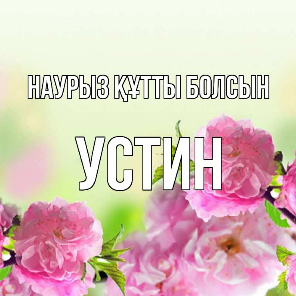 Күн сайын ашық хат с именем, Устин Наурыз құтты болсын цветы Онлайн тегін жүктеп алу тілектері бар керемет карта 