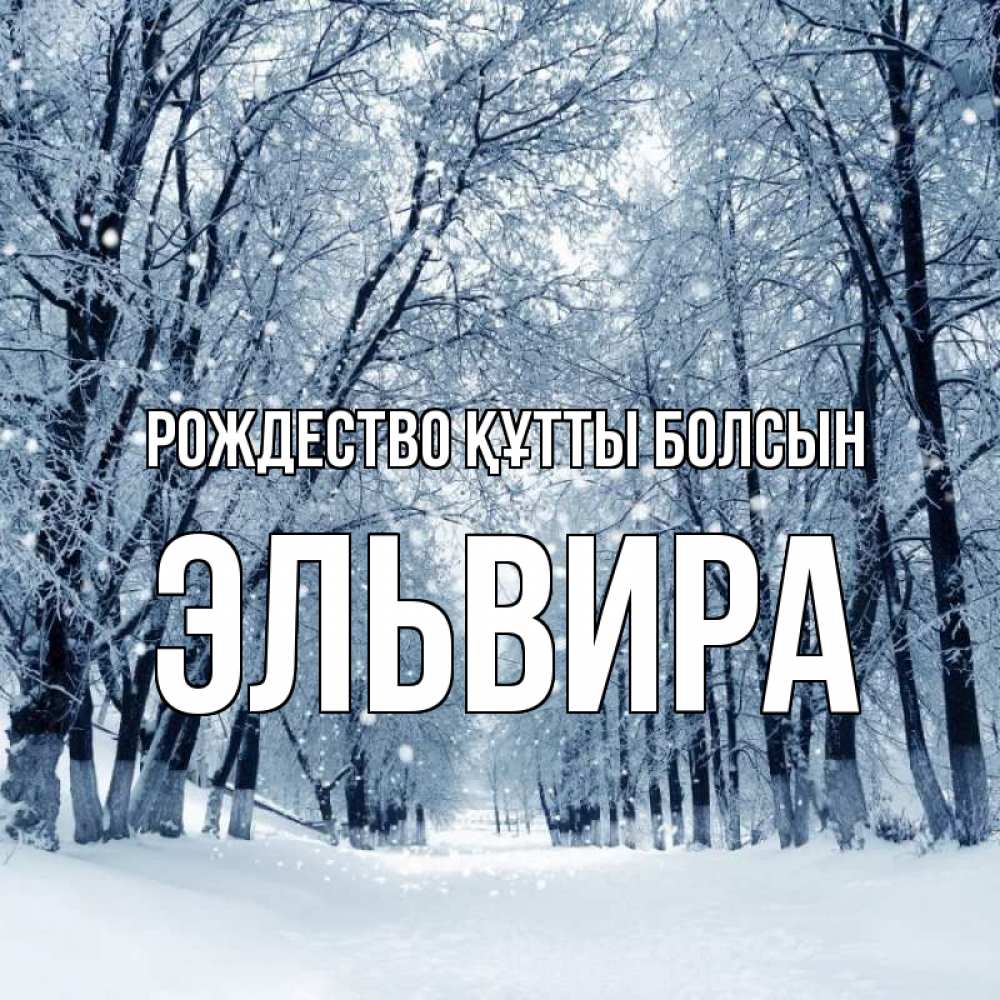Күн сайын ашық хат с именем, Эльвира Рождество құтты болсын снег, лес, парк Онлайн тегін жүктеп алу тілектері бар керемет карта 